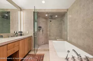 706 E Hyman Ave, Aspen, CO 81611 - Photo 35