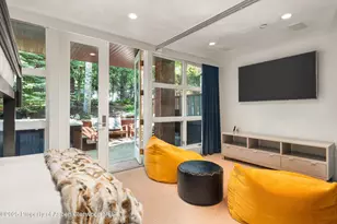 706 E Hyman Ave, Aspen, CO 81611 - Photo 33