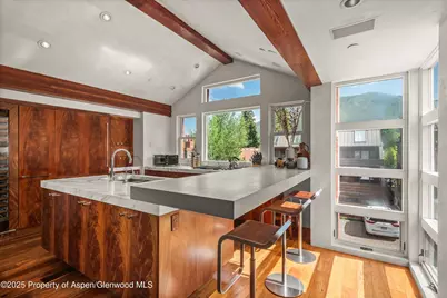 706 E Hyman Avenue #706, Aspen, CO 81611 - Photo 21