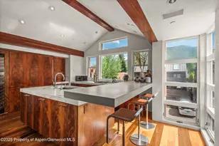 706 E Hyman Ave, Aspen, CO 81611 - Photo 21