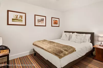 428 E Hyman Avenue #A, Aspen, CO 81611 - Photo 37