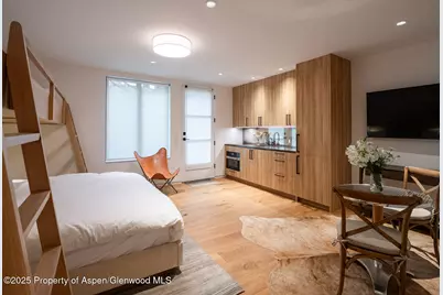 624 E Hopkins Avenue, Aspen, CO 81611 - Photo 19