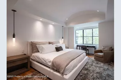 624 E Hopkins Avenue, Aspen, CO 81611 - Photo 13