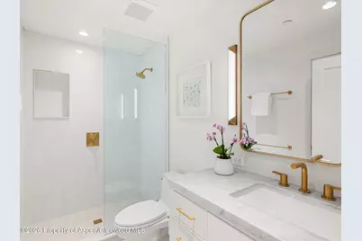 900 E Durant Avenue # 107, Aspen, CO 81611 - Photo 9