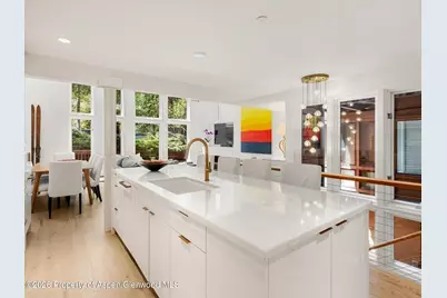 900 E Durant Avenue # 107, Aspen, CO 81611 - Photo 5