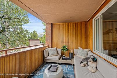 450 S Original Street #8, Aspen, CO 81611 - Photo 17