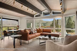 809 S Aspen St, Aspen, CO 81611 - Photo 5