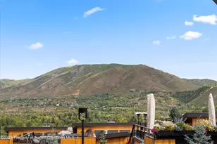 809 S Aspen St, Aspen, CO 81611 - Photo 23