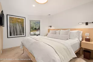 809 S Aspen St, Aspen, CO 81611 - Photo 19