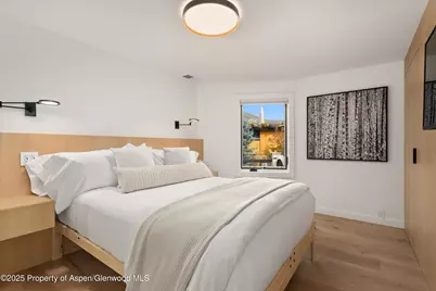 809 S Aspen Street #2, Aspen, CO 81611 - Photo 17