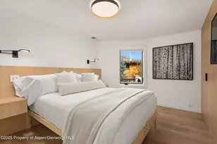 809 S Aspen St, Aspen, CO 81611 - Photo 17