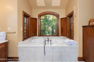 800 S Hayden, Aspen, CO 81611 - Photo 43