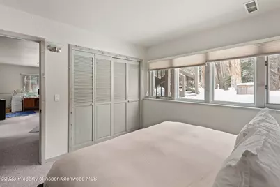 645 Sneaky Lane, Aspen, CO 81611 - Photo 23