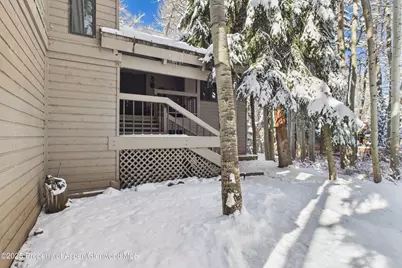 645 Sneaky Lane, Aspen, CO 81611 - Photo 3