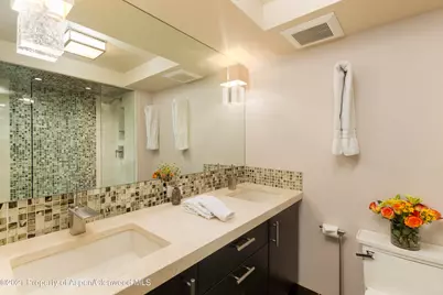 1034 E Cooper Avenue #26, Aspen, CO 81611 - Photo 21