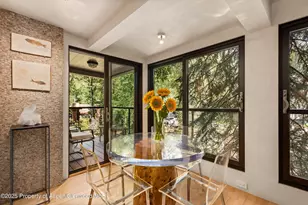 1034 E Cooper Ave, Aspen, CO 81611 - Photo 5