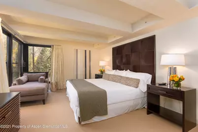 1034 E Cooper Avenue #26, Aspen, CO 81611 - Photo 15