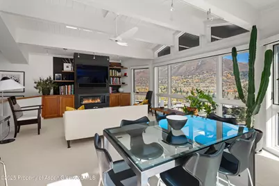 809 S Aspen Street #17, Aspen, CO 81611 - Photo 15