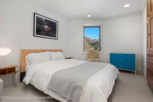 809 S Aspen St, Aspen, CO 81611 - Photo 21