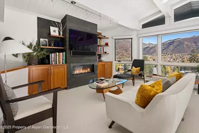 809 S Aspen Street #17, Aspen, CO 81611 - Photo 5