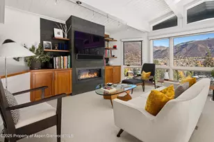 809 S Aspen St, Aspen, CO 81611 - Photo 5