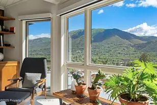 809 S Aspen St, Aspen, CO 81611 - Photo 9