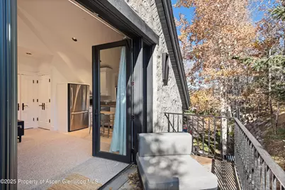75 McLain Court, Aspen, CO 81611 - Photo 49