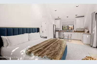 75 McLain Court, Aspen, CO 81611 - Photo 55