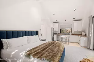 75 McLain Ct, Aspen, CO 81611 - Photo 55