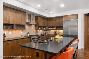 233 E Cooper Ave, Aspen, CO 81611 - Photo 7