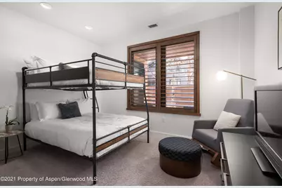233 E Cooper Avenue #104, Aspen, CO 81611 - Photo 25