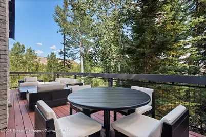 32 Elk Ridge Lane, Snowmass Village, CO 81615 - Photo 33