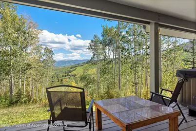 64 Ermine Lane, Snowmass Village, CO 81615 - Photo 17