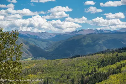 64 Ermine Lane, Snowmass Village, CO 81615 - Photo 29