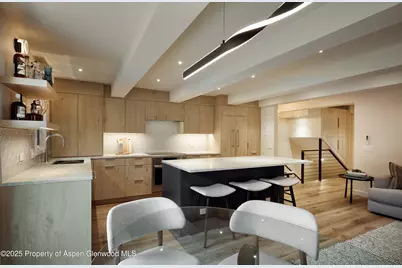 1039 E Cooper Avenue #14A, Aspen, CO 81611 - Photo 3