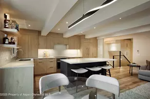 1039 E Cooper Ave, Aspen, CO 81611 - Photo 3