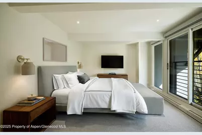 1039 E Cooper Avenue #14A, Aspen, CO 81611 - Photo 7