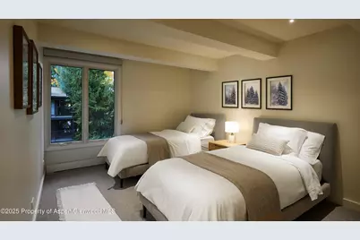 1039 E Cooper Avenue #14A, Aspen, CO 81611 - Photo 13