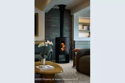 1039 E Cooper Avenue #14A, Aspen, CO 81611 - Photo 5