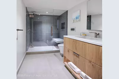 1039 E Cooper Avenue #14A, Aspen, CO 81611 - Photo 15