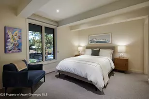 1039 E Cooper Ave, Aspen, CO 81611 - Photo 11