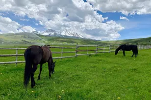 0777 Old Herron Rd, Basalt, CO 81621 - Photo 47