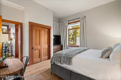 60 Carriage #3029, Snowmass Village, CO 81615 - Photo 21