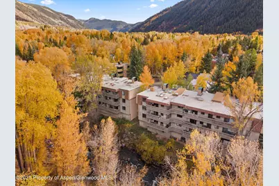 1024 E Hopkins Avenue #12, Aspen, CO 81611 - Photo 15