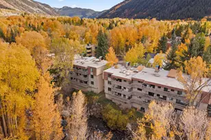 1024 E Hopkins Ave, Aspen, CO 81611 - Photo 15