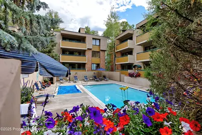 1024 E Hopkins Avenue #12, Aspen, CO 81611 - Photo 17