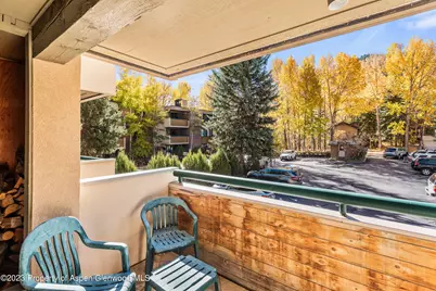 1024 E Hopkins Avenue #12, Aspen, CO 81611 - Photo 13