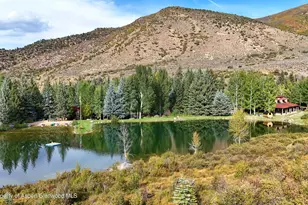 1900&1470 Snowmass Creek Rd, Snowmass, CO 81654 - Photo 87