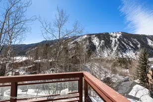 0184 Mountain Laurel Dr, Aspen, CO 81611 - Photo 43