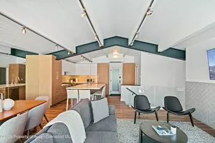 809 S Aspen St, Aspen, CO 81611 - Photo 19